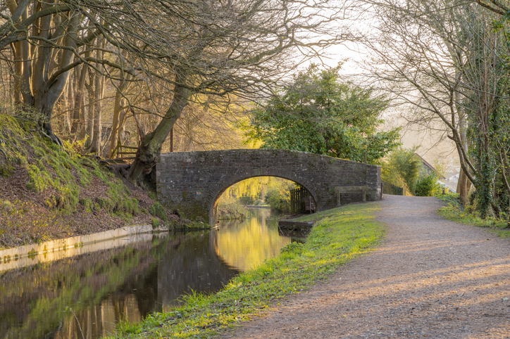 A bridge on the Mon & Brec Canal