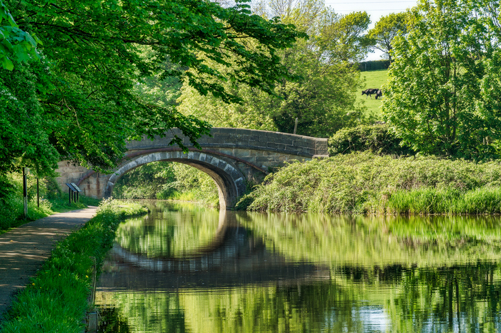 Canal in the countryside