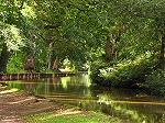 Wooden section of canal near Blake Mere